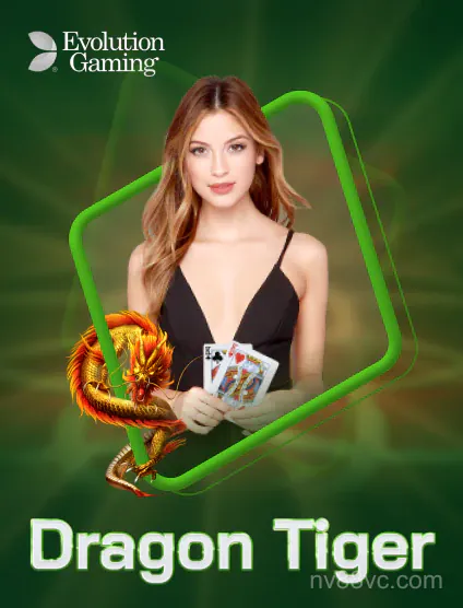 Evolution Dragon Thai Tiger
